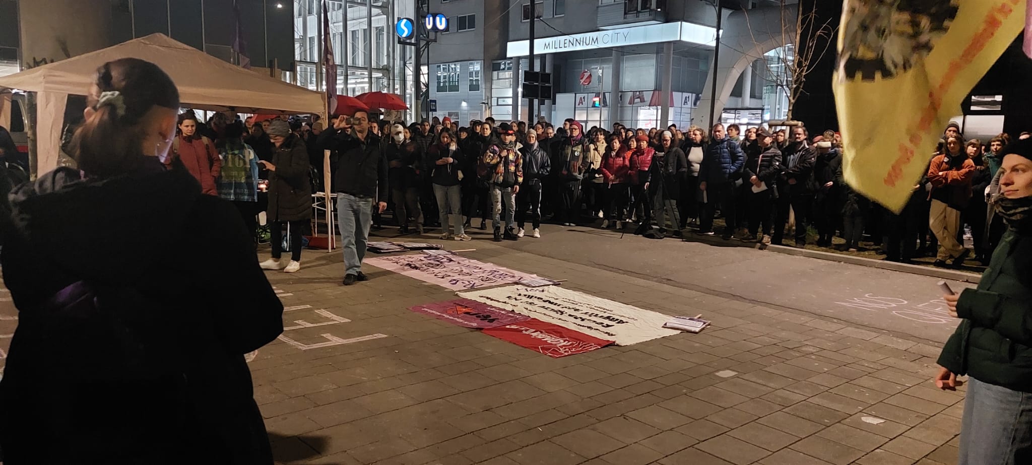 Kadın Cinayetleri Politiktir! konulu fotoğraflar