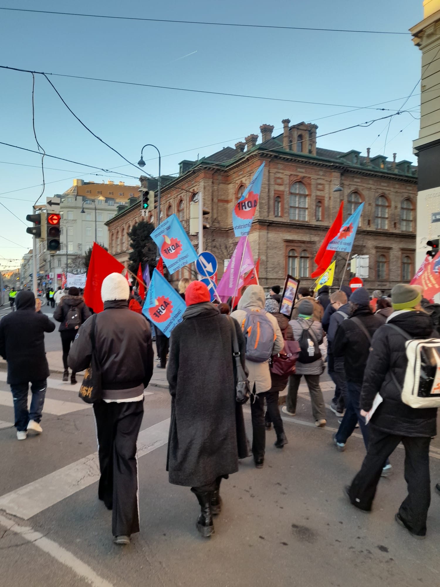 ABD'nin Venezuela'ya Yönelik Saldırısı Viyana'da Protesto Edildi! konulu fotoğraflar